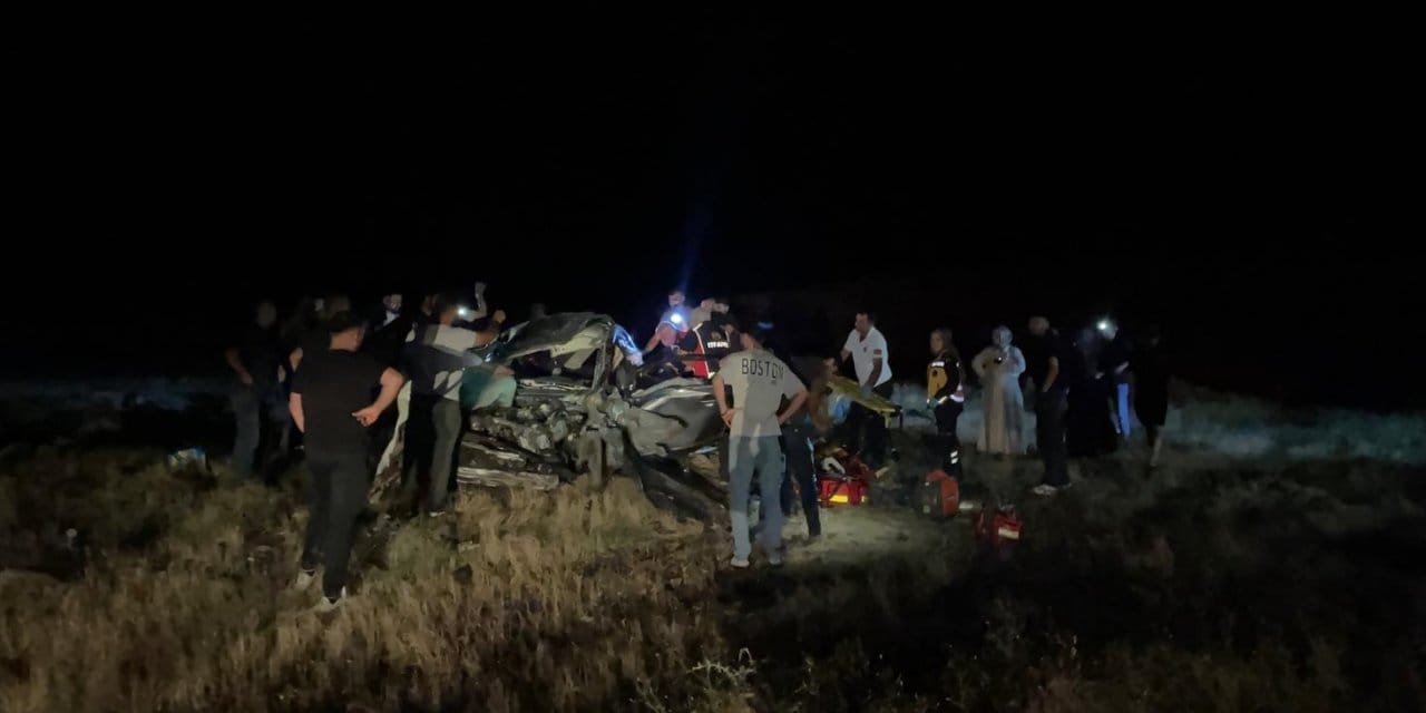 Elazığ'da feci kaza: Otomobil şarampole devrildi