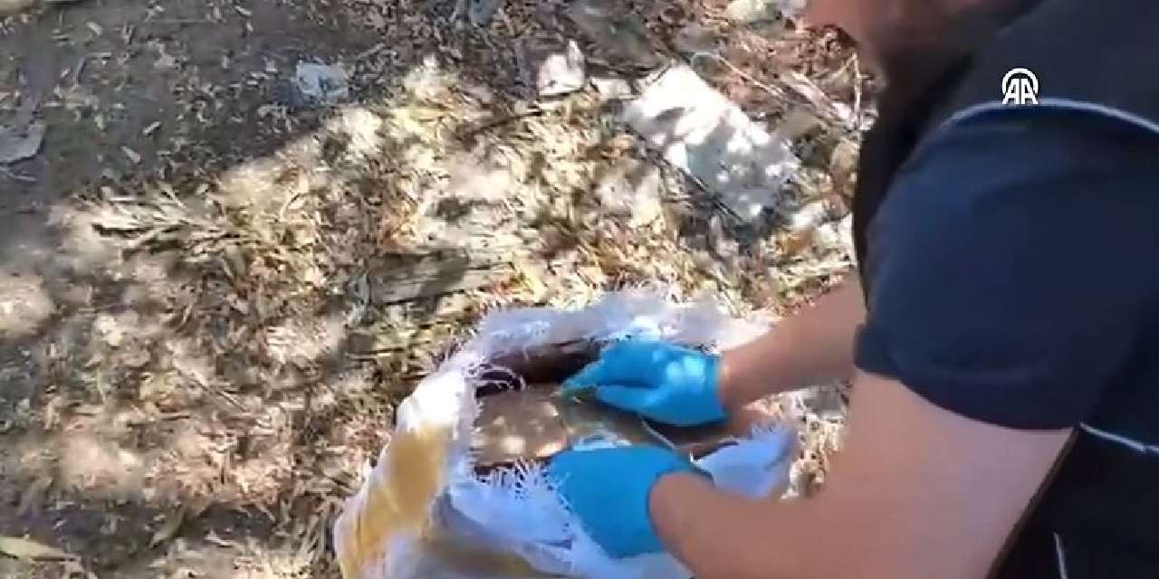 Kargo kutusundan çıkanlar ağızları açık bıraktı