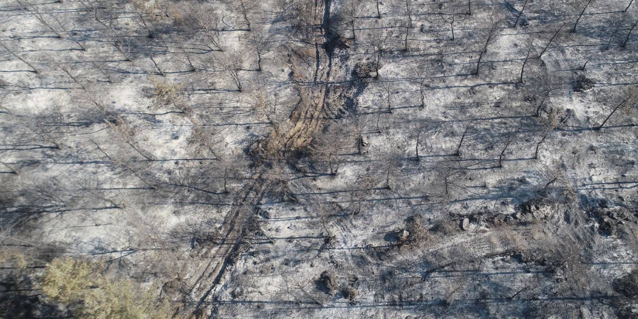 Tekirdağ yangını kontrol altına alındı