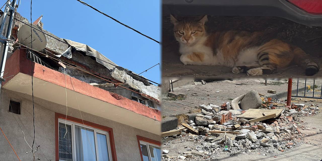 Kağıthane’de balkon çöktü: ‘Benekli’ son anda kurtuldu