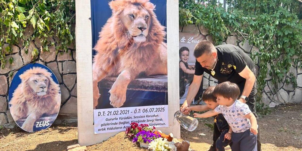 Aslan Zeus’un ölümüne suç duyurusu: Uyutularak yakalanabilirdi