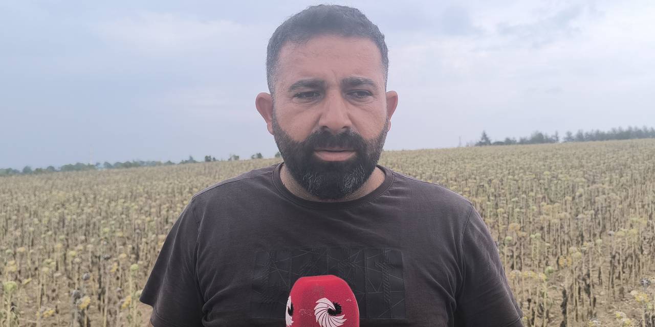 Mahsul, biçer parasını bile karşılamadı: Çiftçiliği bırakmayı düşünüyoruz!