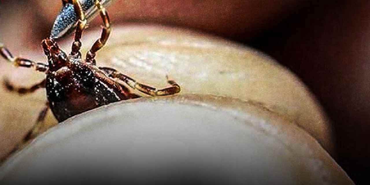 Tokat'ta KKKA tehlikesi büyüyor!