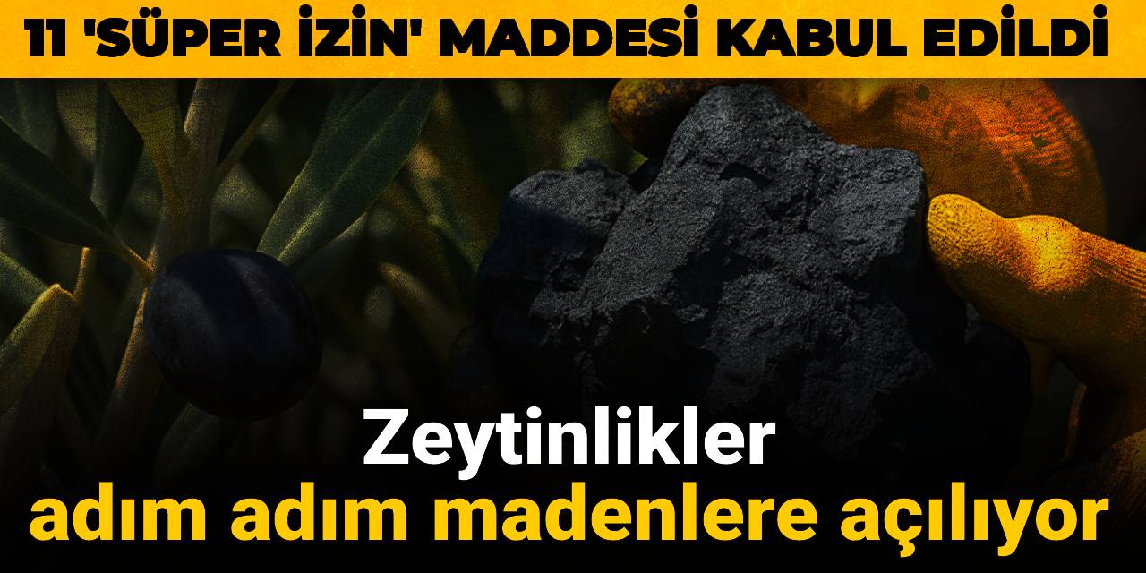 Zeytinlikler adım adım madenlere açılıyor: 11 'Süper İzin' maddesi kabul edildi