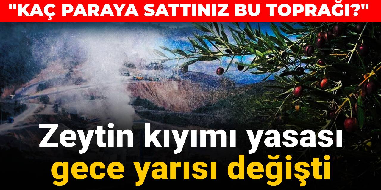 Zeytin kıyımı yasası gece yarısı değişti: Kaç paraya sattınız bu toprağı?