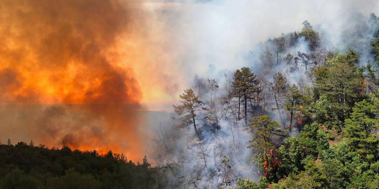 Balıkesir’deki orman yangını 29 saatin ardından kontrol altına alındı!