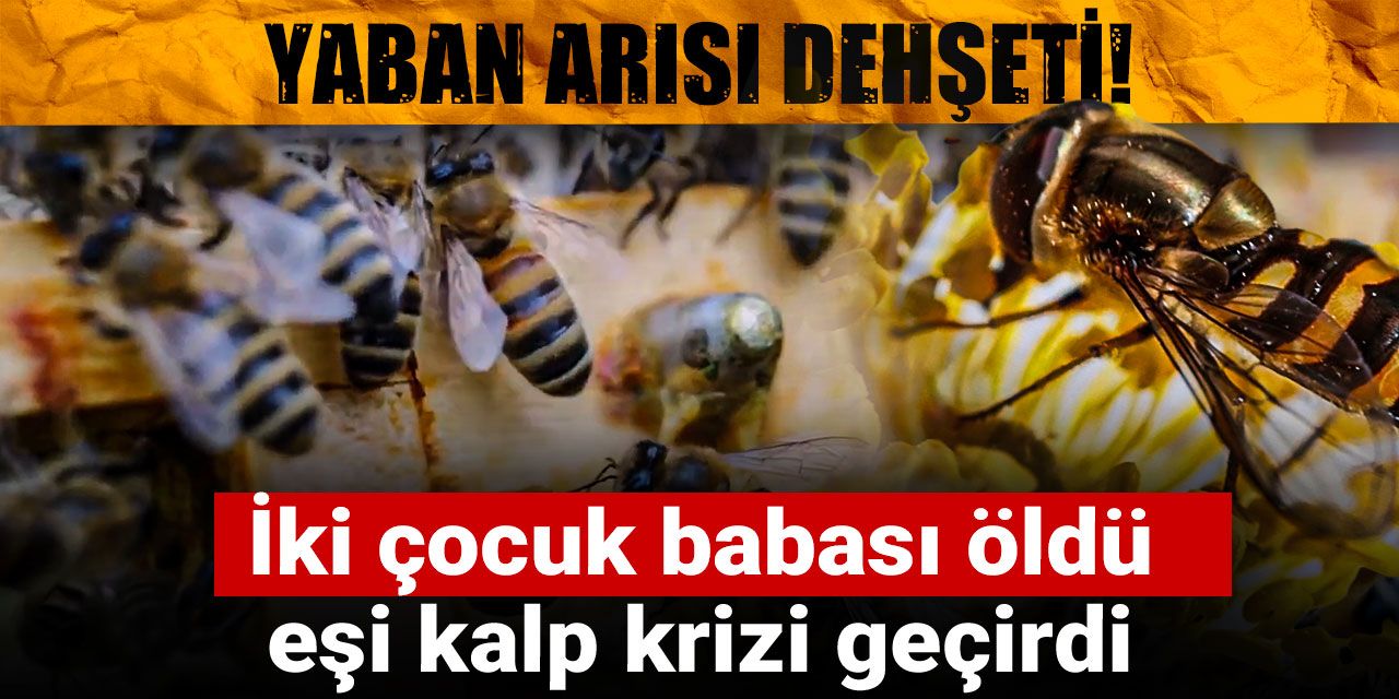 Yaban arısı dehşeti! Bir kişi hayatını kaybetti: Eşi kalp krizi geçirdi!