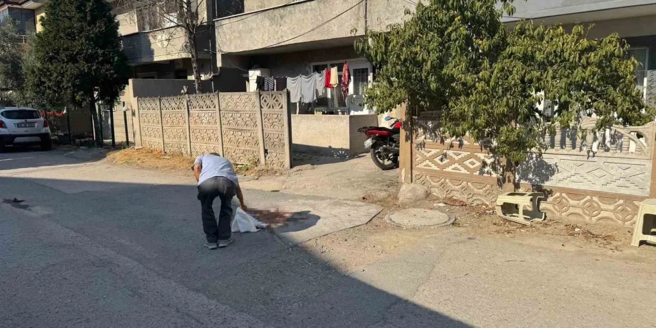 Oğlu tarafından pompalı tüfekle vurulmuştu: Baba kurtarılamadı