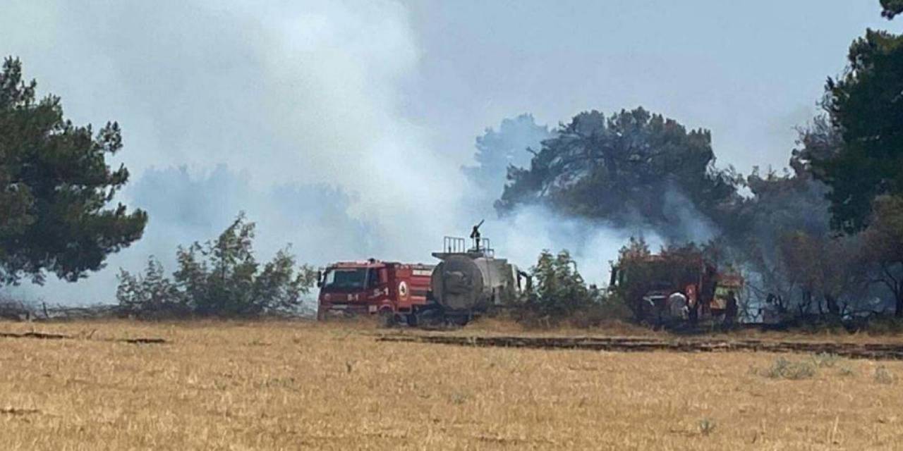 Çanakkale'de orman yangını kontrol altında