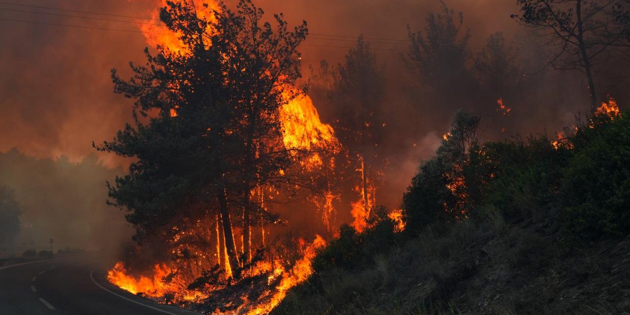 Zafer Partili Aslan: İktidar orman yangınlarında Türk milletini kaderiyle baş başa bırakıyor
