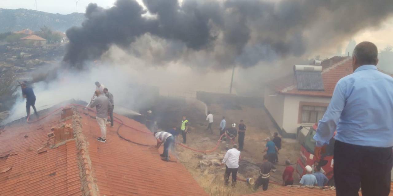 250 dönüm alanı ve 2 ahırı cayır cayır yaktı