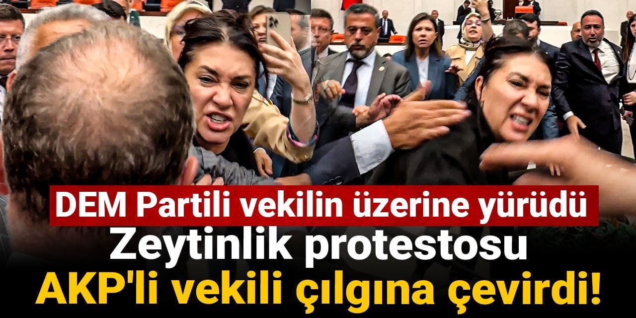 Zeytinlik protestosu AKP'li vekili çılgına çevirdi! DEM Partili vekilin üzerine yürüdü