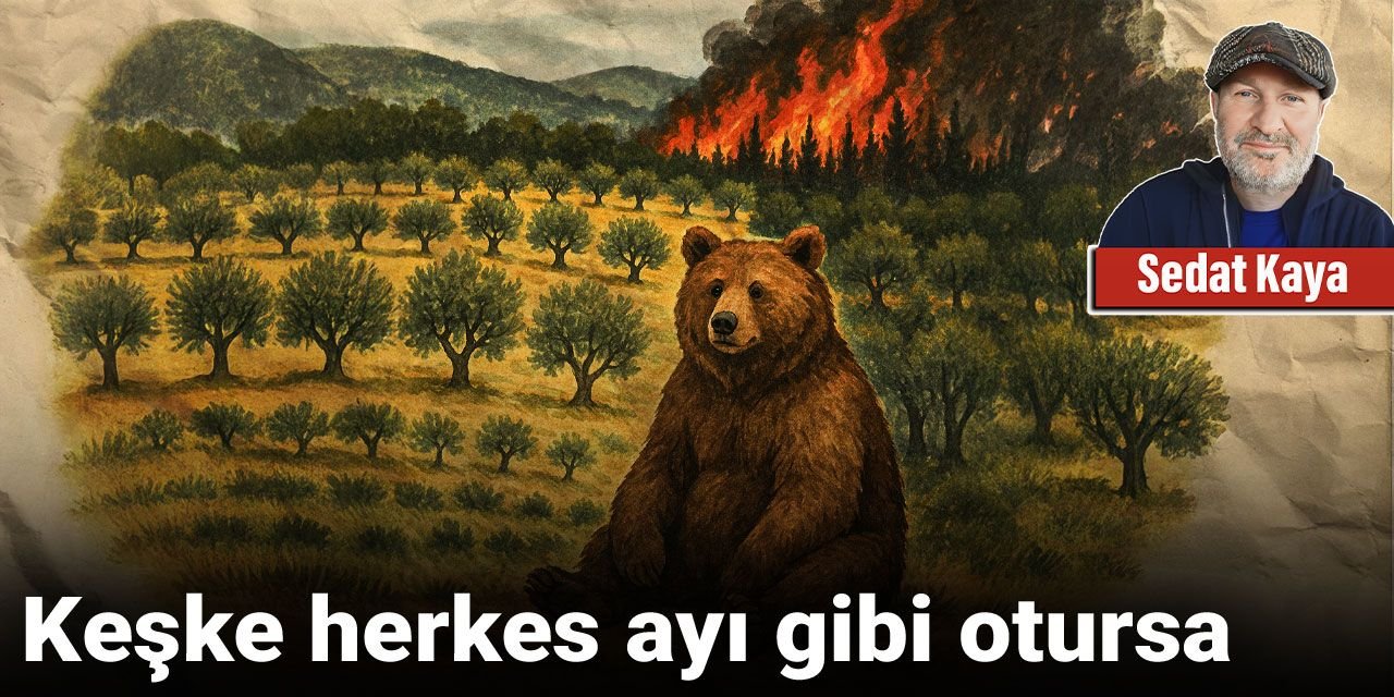 Keşke herkes ayı gibi otursa