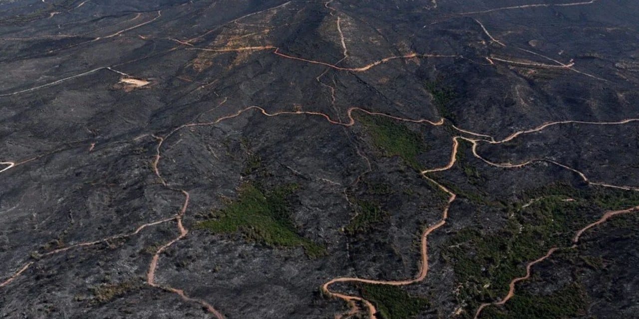 İzmir'de ormanları küle çeviren yangının itfaiye raporu ortaya çıktı! İşte felaketin sorumlusu