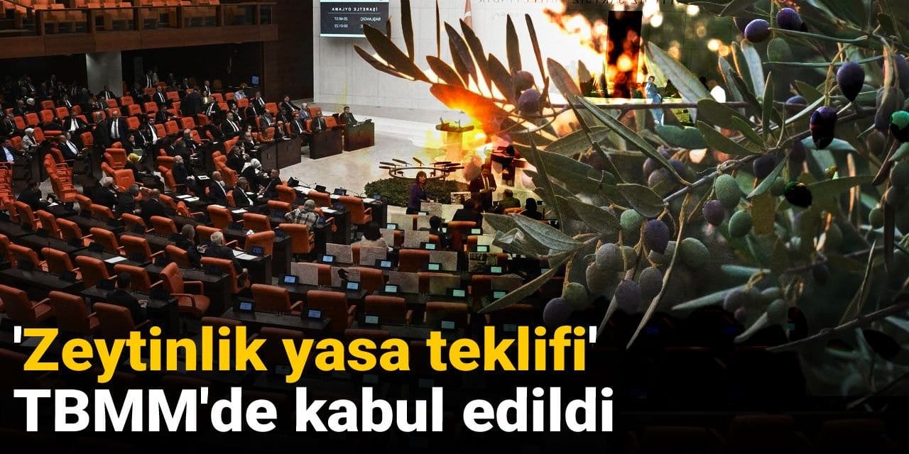 Son dakika | 'Zeytinlik yasa teklifi' TBMM'de kabul edildi