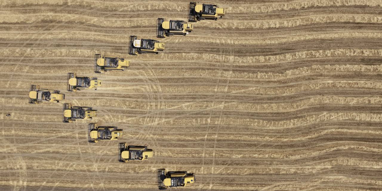 Malya Tarım İşletmesi'nde sertifikalı tohum hasadı sürüyor