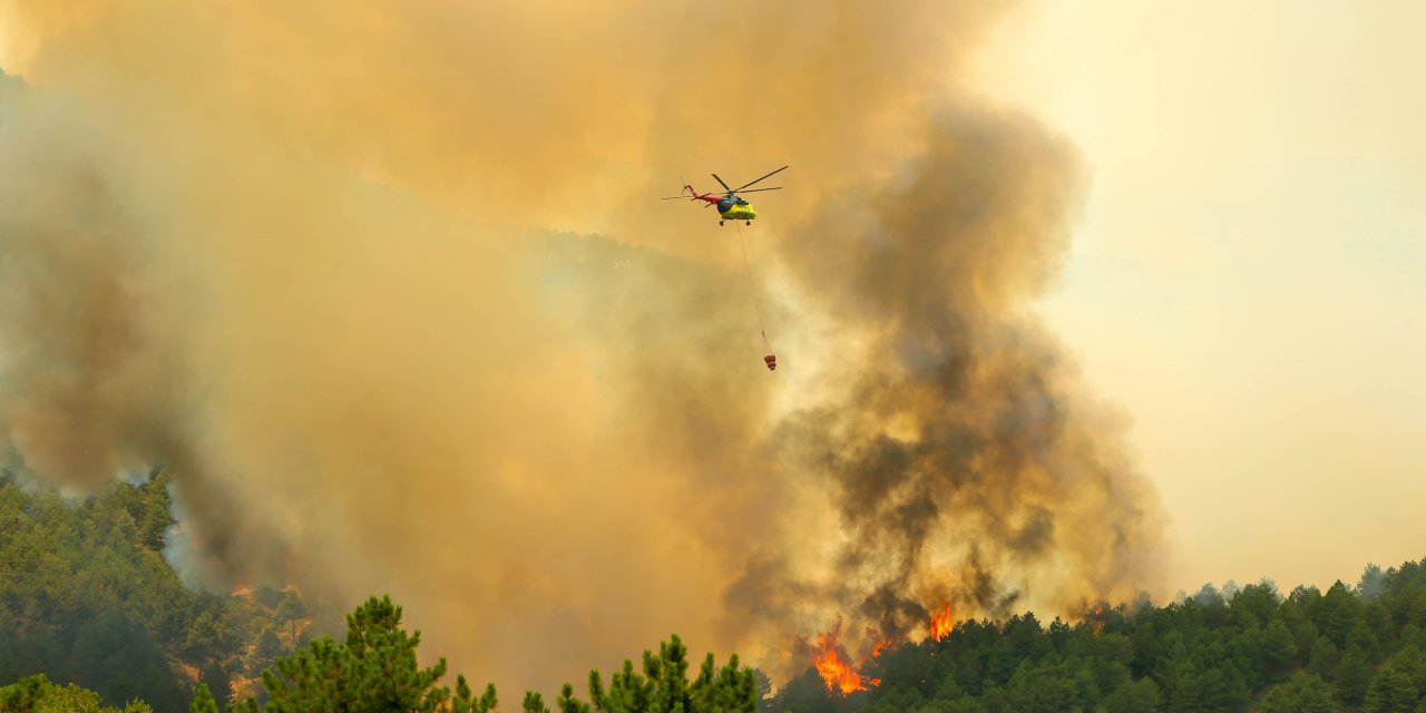 Uşak'ta orman yangını: Havadan müdahale sürüyor