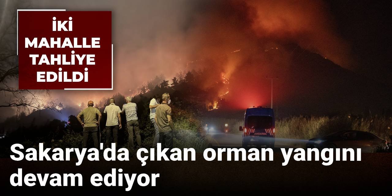 Sakarya'da çıkan orman yangını büyüyor: Bölgeden iç yakan görüntüler geliyor
