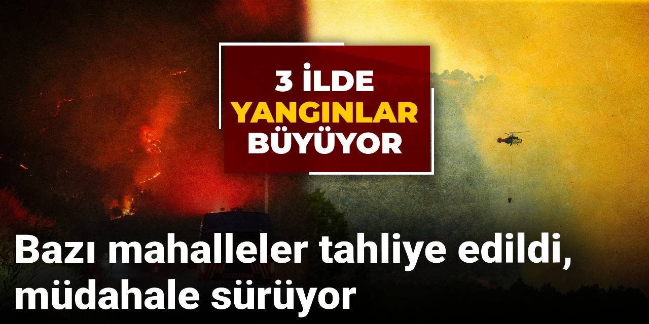 Sakarya, Bilecik ve Uşak'ta orman yangınları: Bazı mahalleler tahliye edildi, müdahale sürüyor