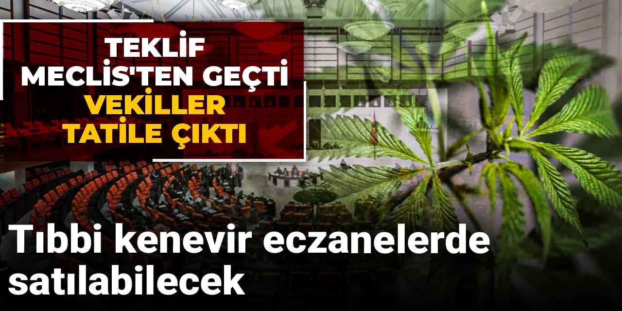 Teklif Meclis'ten geçti vekiller tatile çıktı: Tıbbi kenevir eczanelerde satılabilecek
