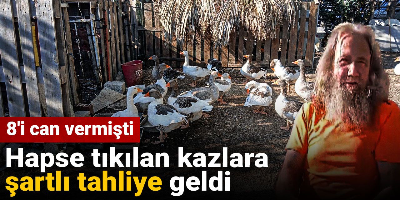 Hapse tıkılan kazlara şartlı tahliye geldi! 8'i can vermişti