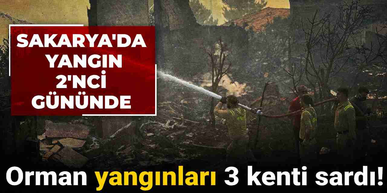 Orman yangınları 3 kenti sardı: Sakarya'da yangın 2'nci gününde