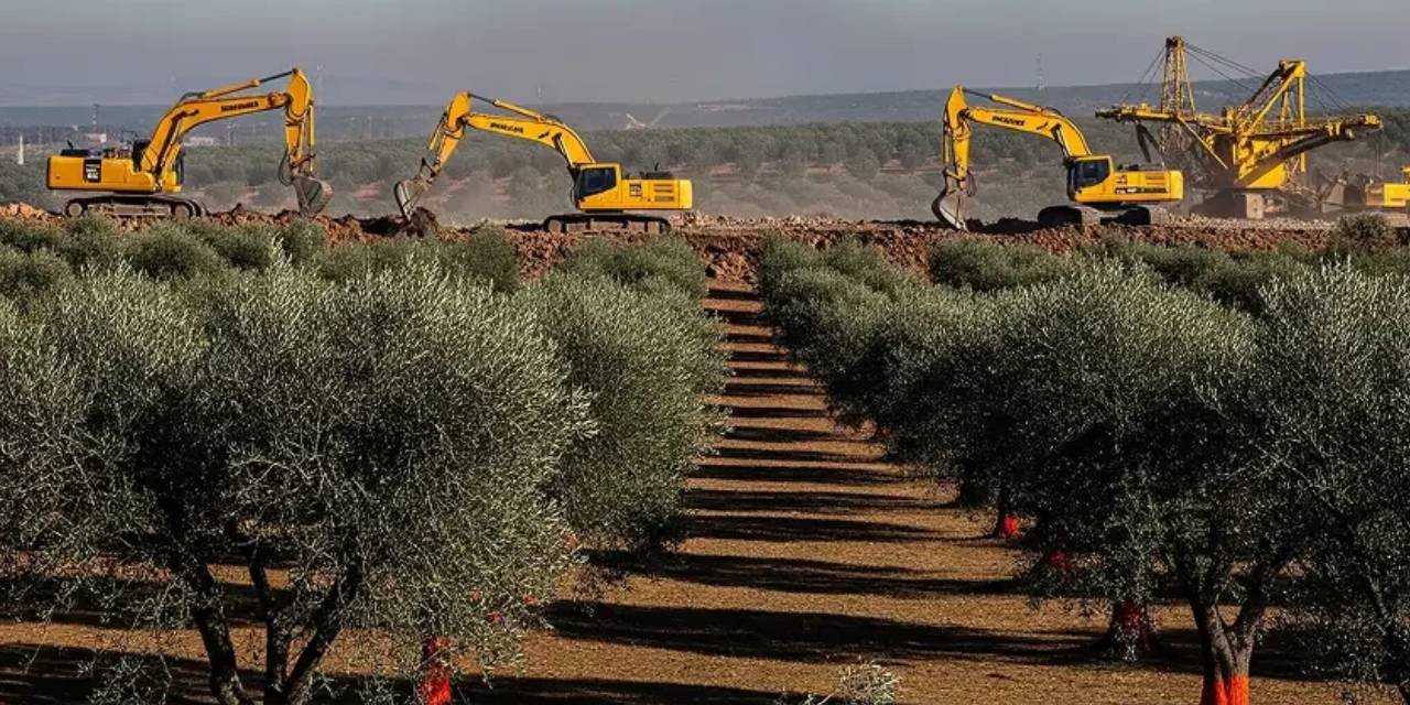 Ankara Barosu’ndan Erdoğan'a 'zeytinlik' çağrısı: Maden ocağına kurban etmeyin