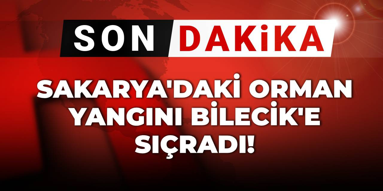 Son dakika | Sakarya'daki orman yangını Bilecik'e sıçradı