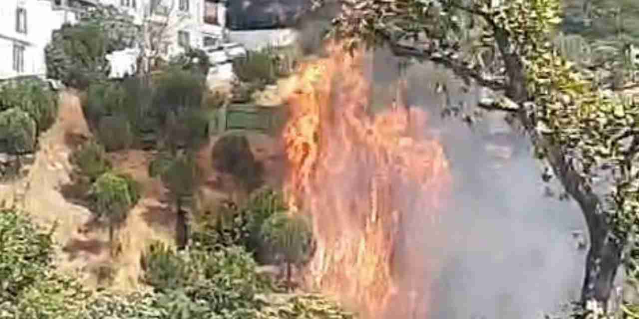 Kağıthane'de ağaçlık alanda yangın
