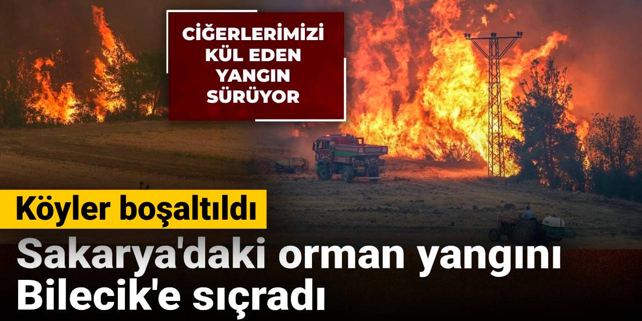 Son dakika | Sakarya'daki orman yangını Bilecik'e sıçradı