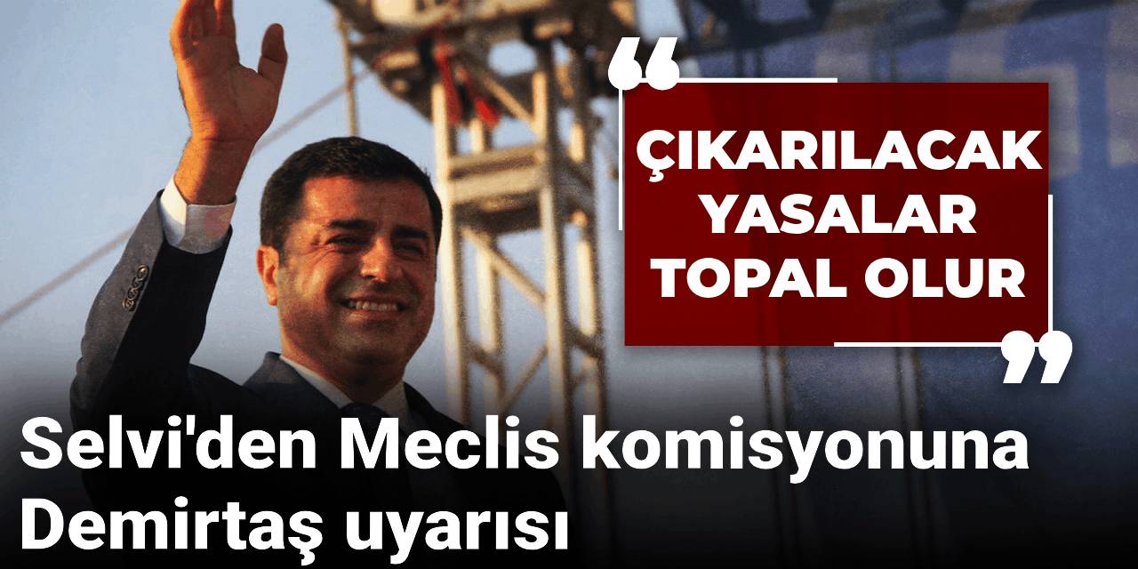 Selvi'den Meclis komisyonuna Demirtaş uyarısı: Çıkarılacak yasalar topal olur