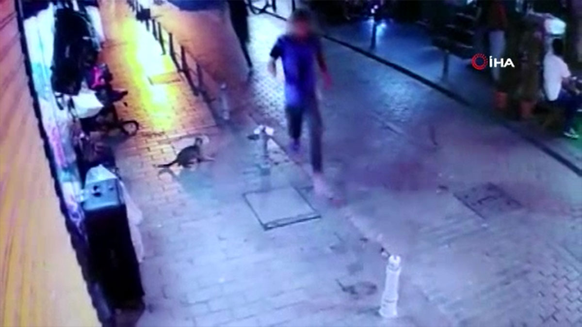 İstanbul'da kovaladıkları genci bıçaklayarak öldürdüler: Kovalama anı güvenlik kameralarına böyle yansıdı