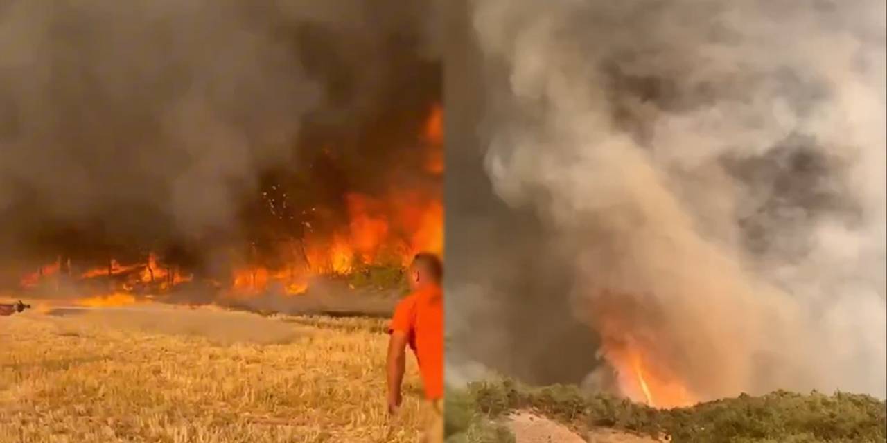 Orman Genel Müdürü paylaştı: Alevler hortuma böyle döndü