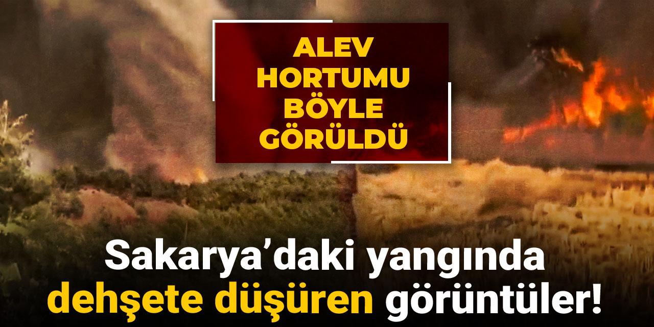 Sakarya yangınında alev hortumu kabusu!