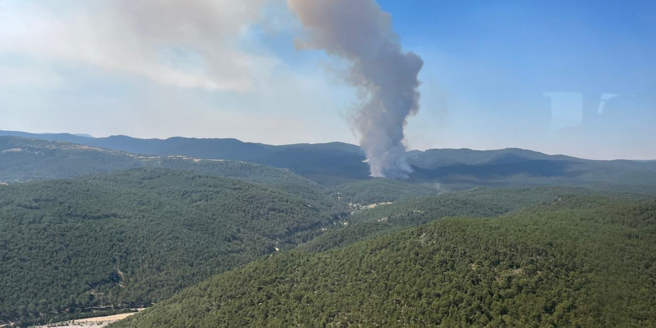 Bu sefer de Eskişehir'de orman yangını!