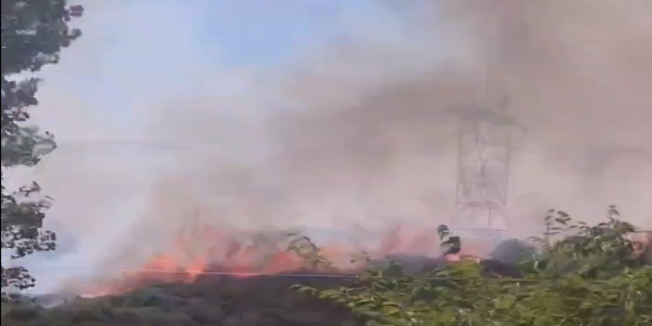 Son dakika | İstanbul'da ağaçlık alanda yangın