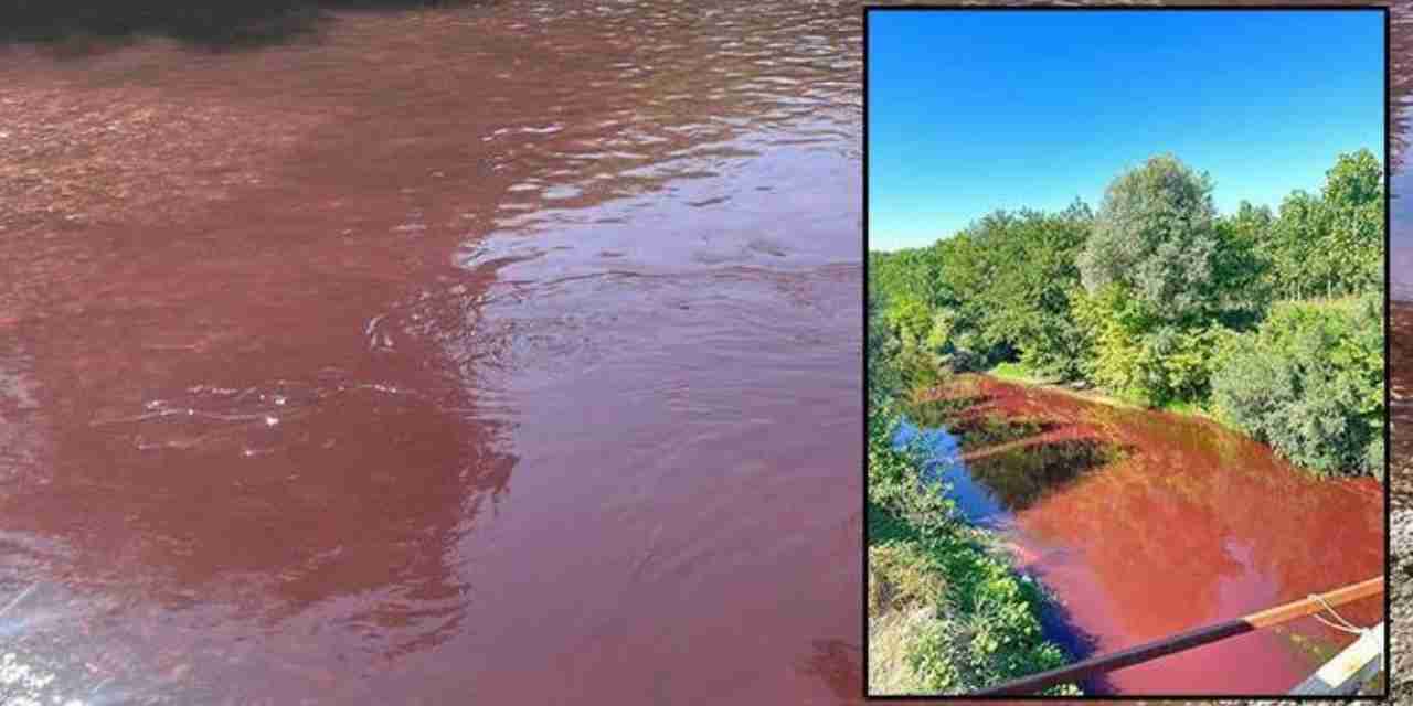 Sakarya'da Mudurnu Çayı kırmızıya döndü!