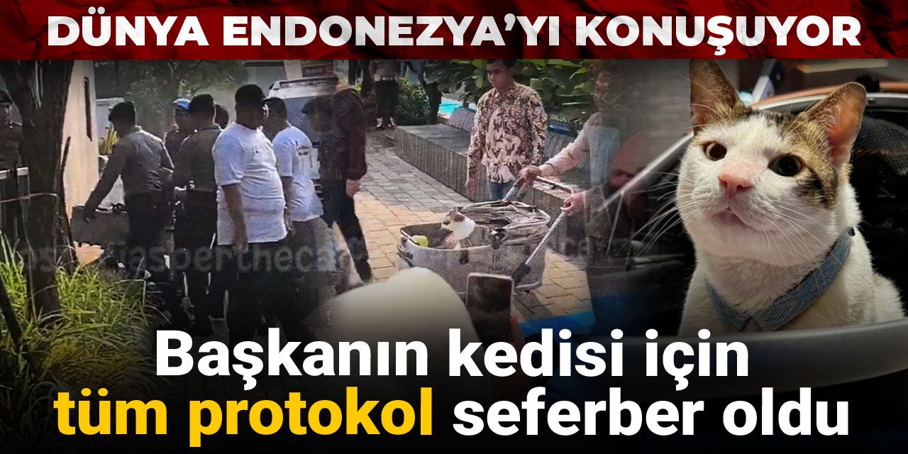 Dünya Endonezya’yı bu görüntülerle konuşuyor: Başkanın kedisi için tüm protokol seferber oldu