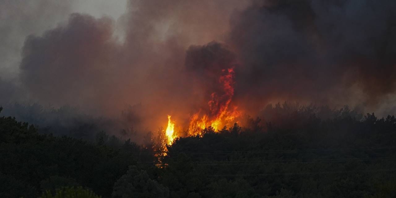 İzmir'de orman yangını çıktı