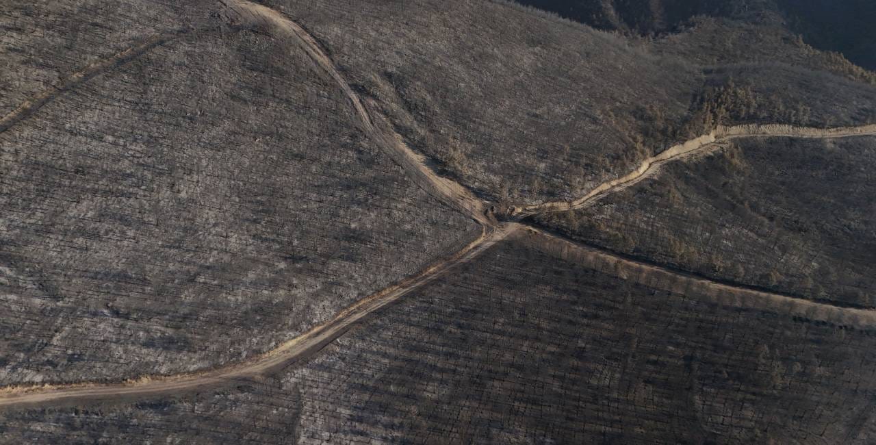 Sakarya'da yürek acıtan görüntüler: Yangının bıraktığı hasar ortaya çıktı