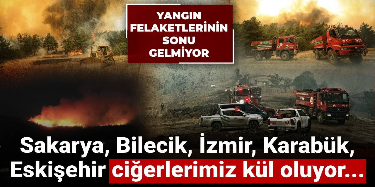 Sakarya, Bilecik, İzmir, Karabük'te orman yangınları: Ciğerlerimiz kül oluyor