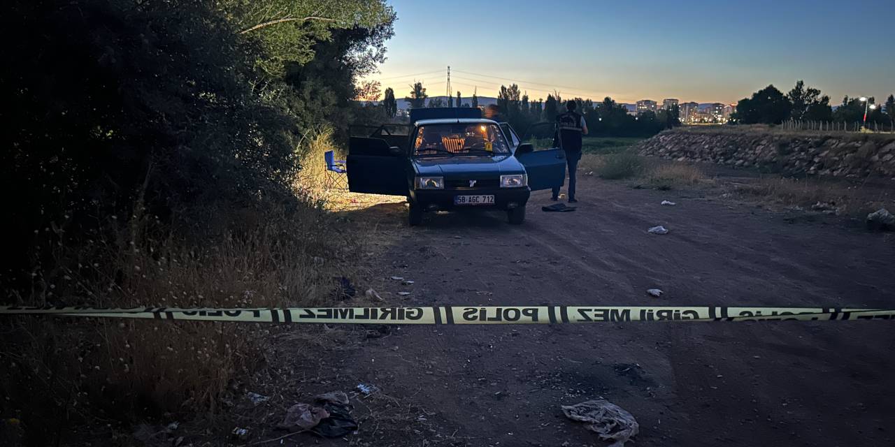 Husumetli çocukluk arkadaşları birbirlerini aynı tüfekle vurdu