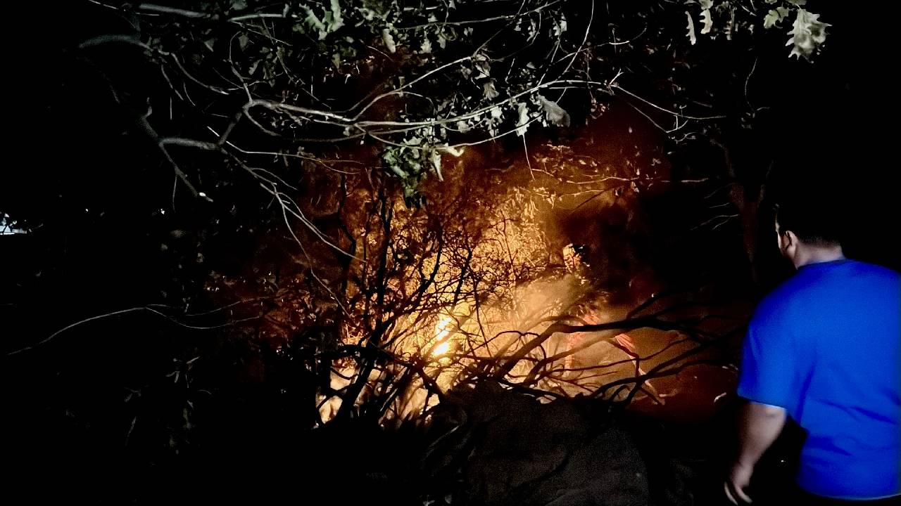 Kocaeli'nde orman yangını kontrol altına alındı