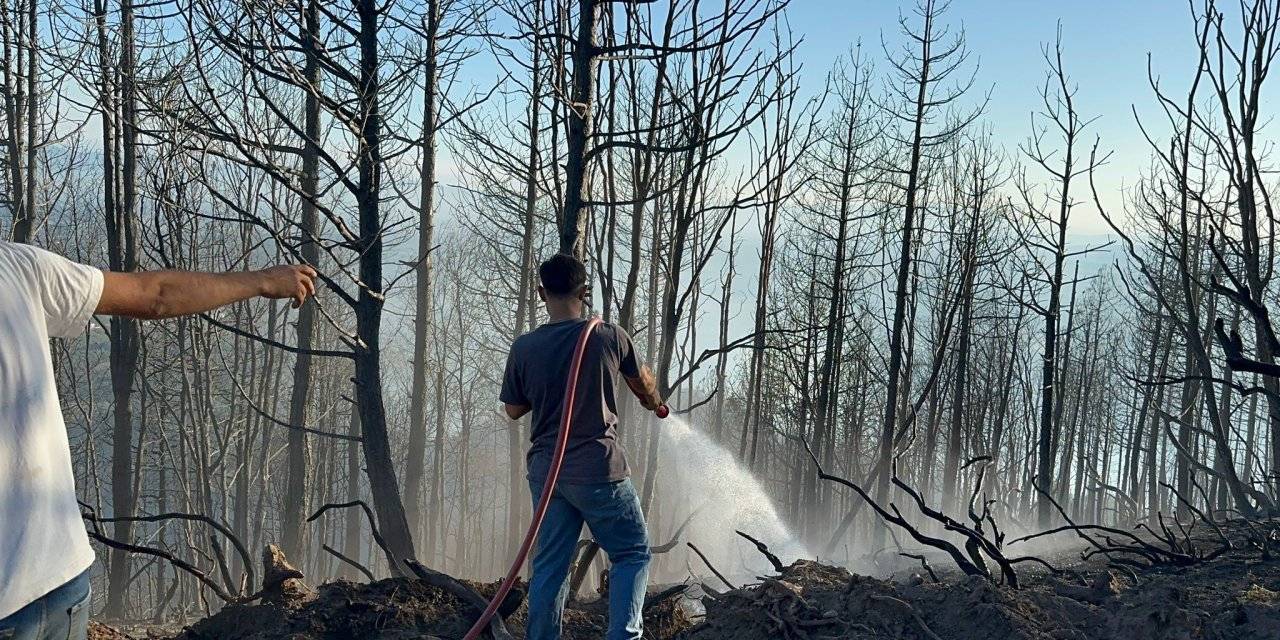 Hendek'teki yangın kontrol altına alındı