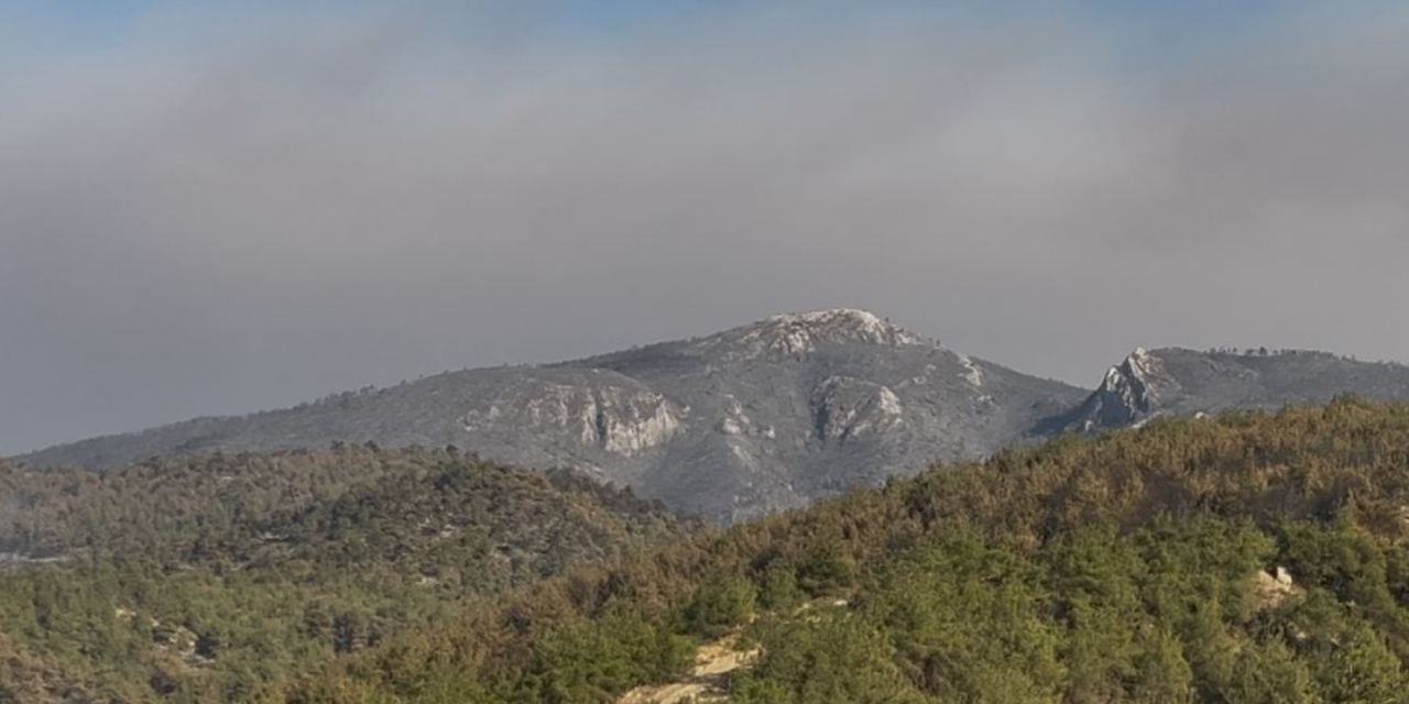 Bilecik'e sıçrayan Sakarya yangını kısmen kontrol altında