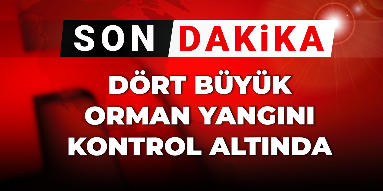 Son dakika| Dört büyük orman yangını kontrol altında