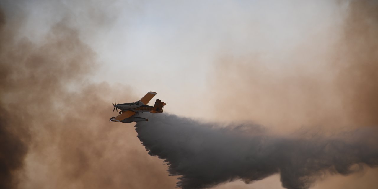 Sakarya, İzmir, Eskişehir ve Karabük'teki yangınlar kontrol altına alındı
