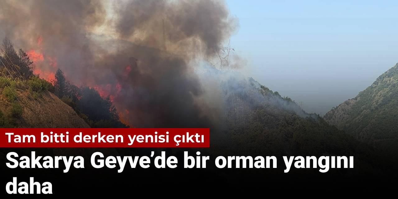 Tam bitti derken... Sakarya Geyve'de bir yangın daha