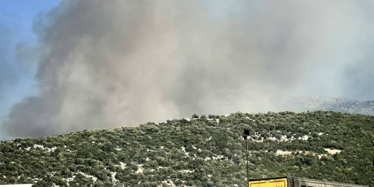 Bir orman yangını haberi de Manisa'dan