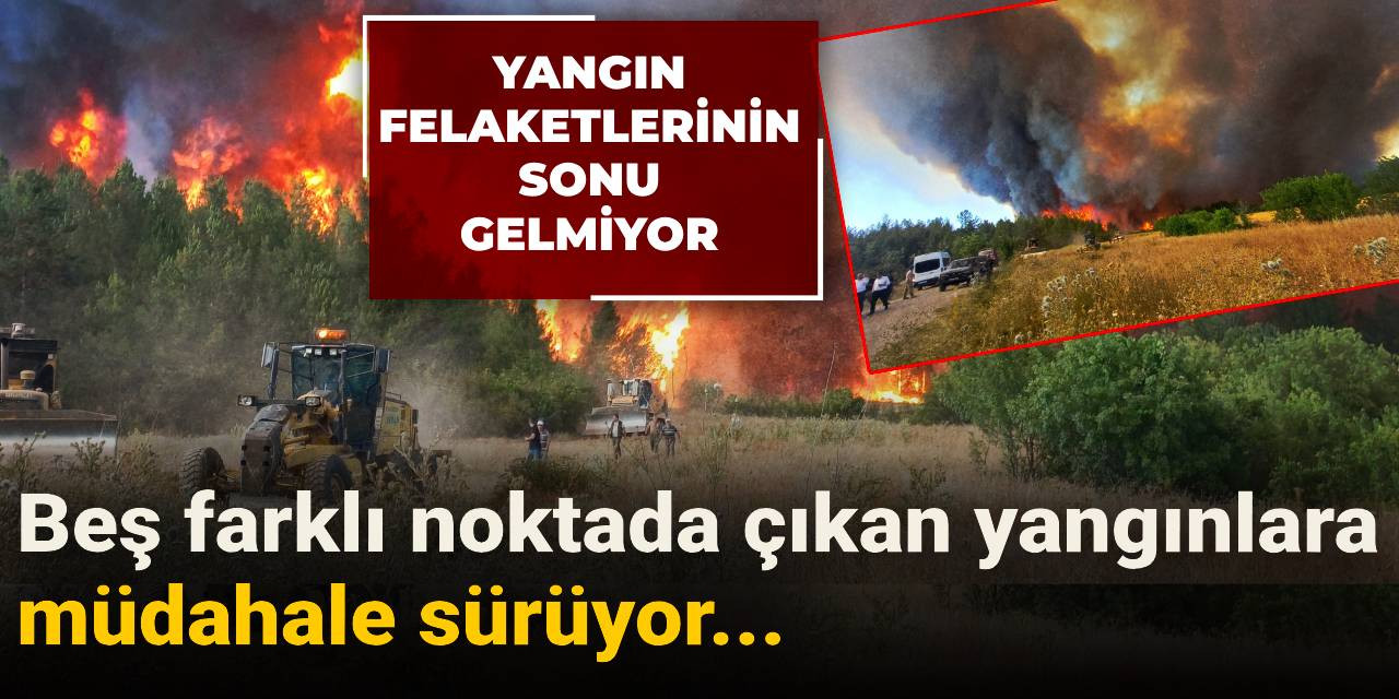 Beş farklı noktada çıkan yangınlara müdahale sürüyor...